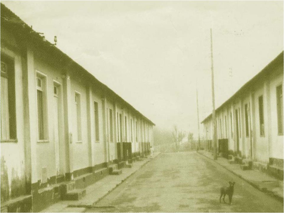 BonserásBoaVista