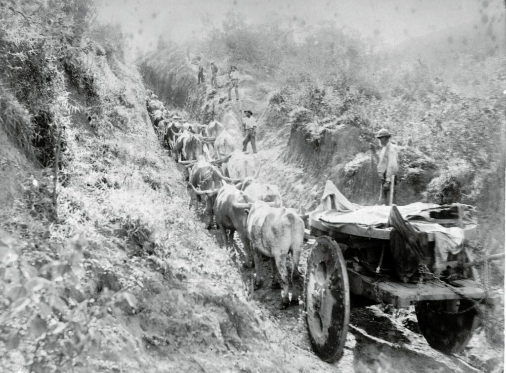 Carro de Boi transportanto peça para a planta industrial