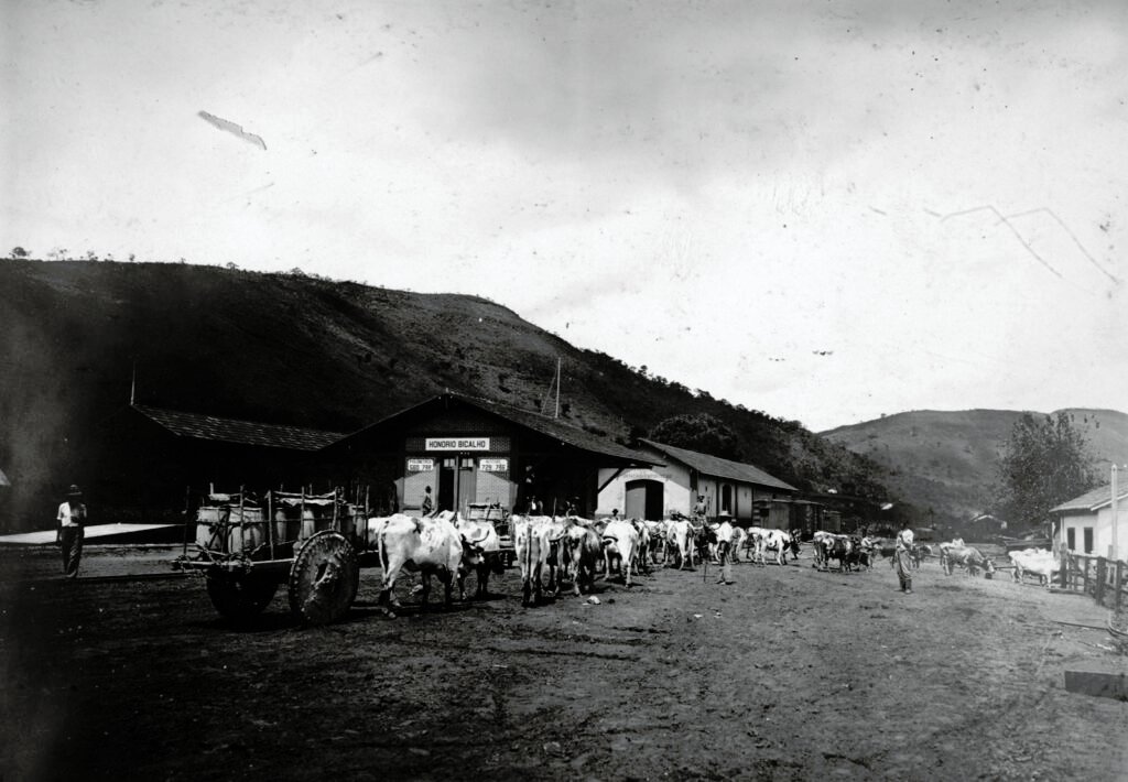 Estão de Trem de Honório Bicalho