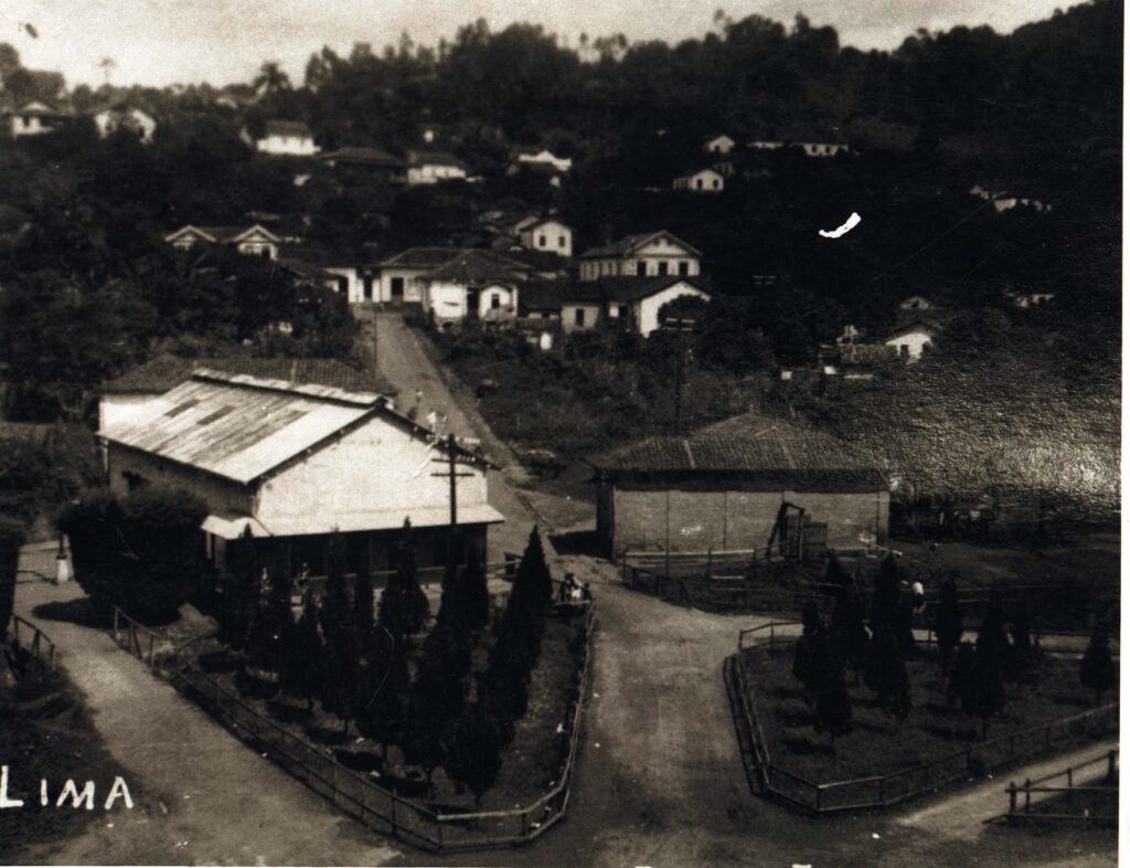 Jardim