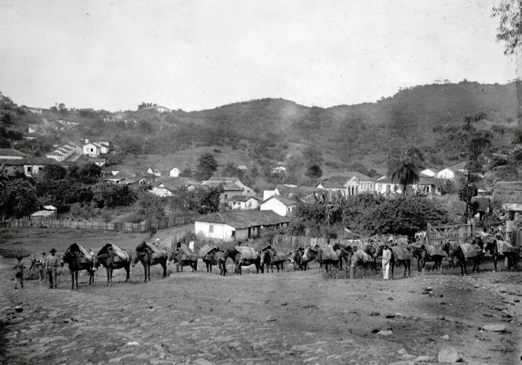 Tropa de muares fazendo o transporte para a Morro Velho