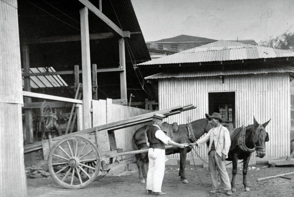 Tropeiro