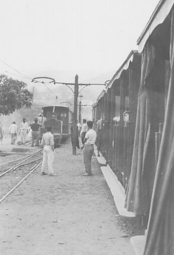 raposos9602