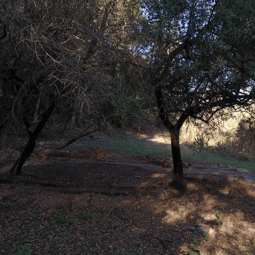 Design sem nome (12) (1)