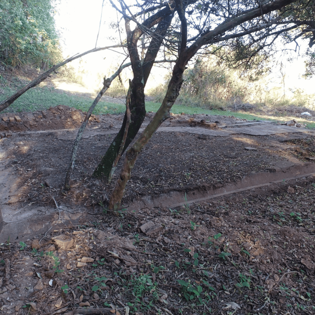 Design sem nome (17) (1)