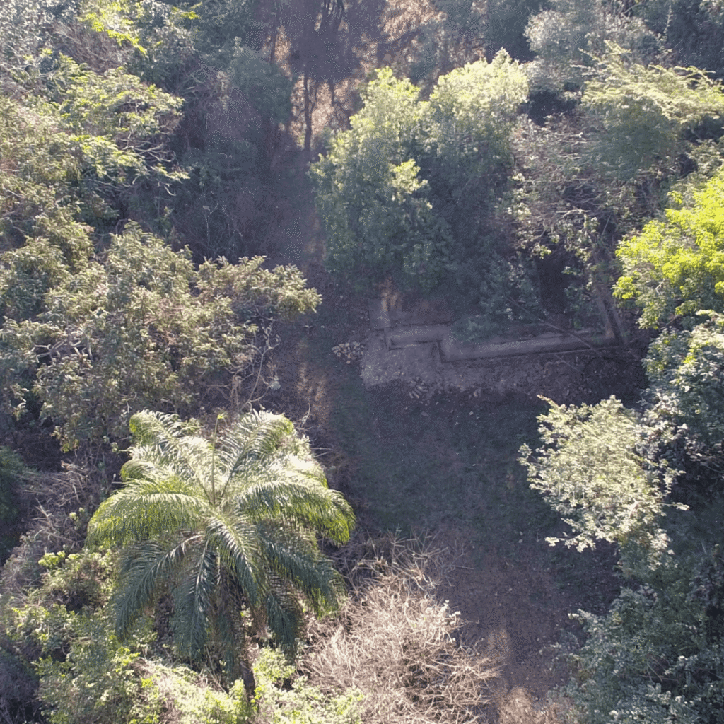 Design sem nome (18) (1)