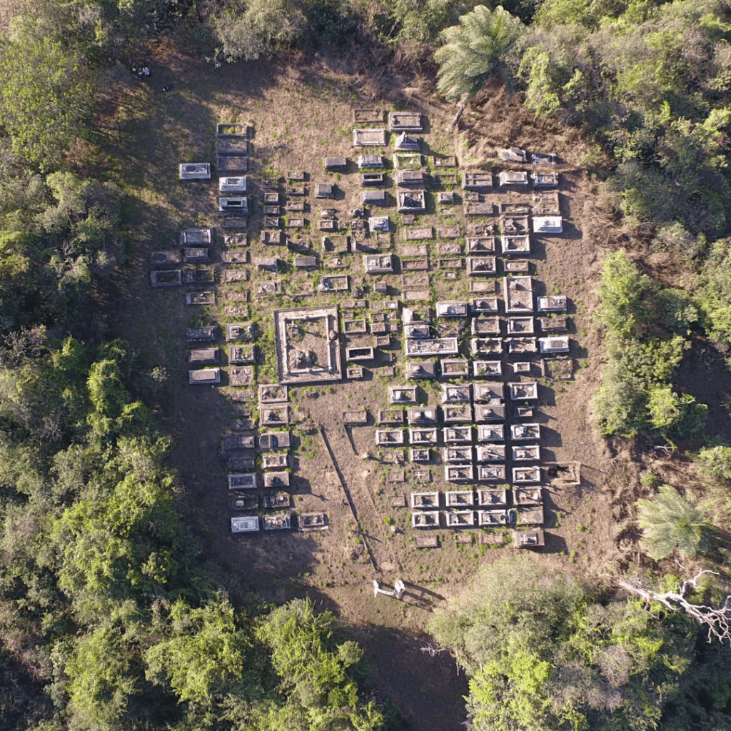 Design sem nome (3) (1)