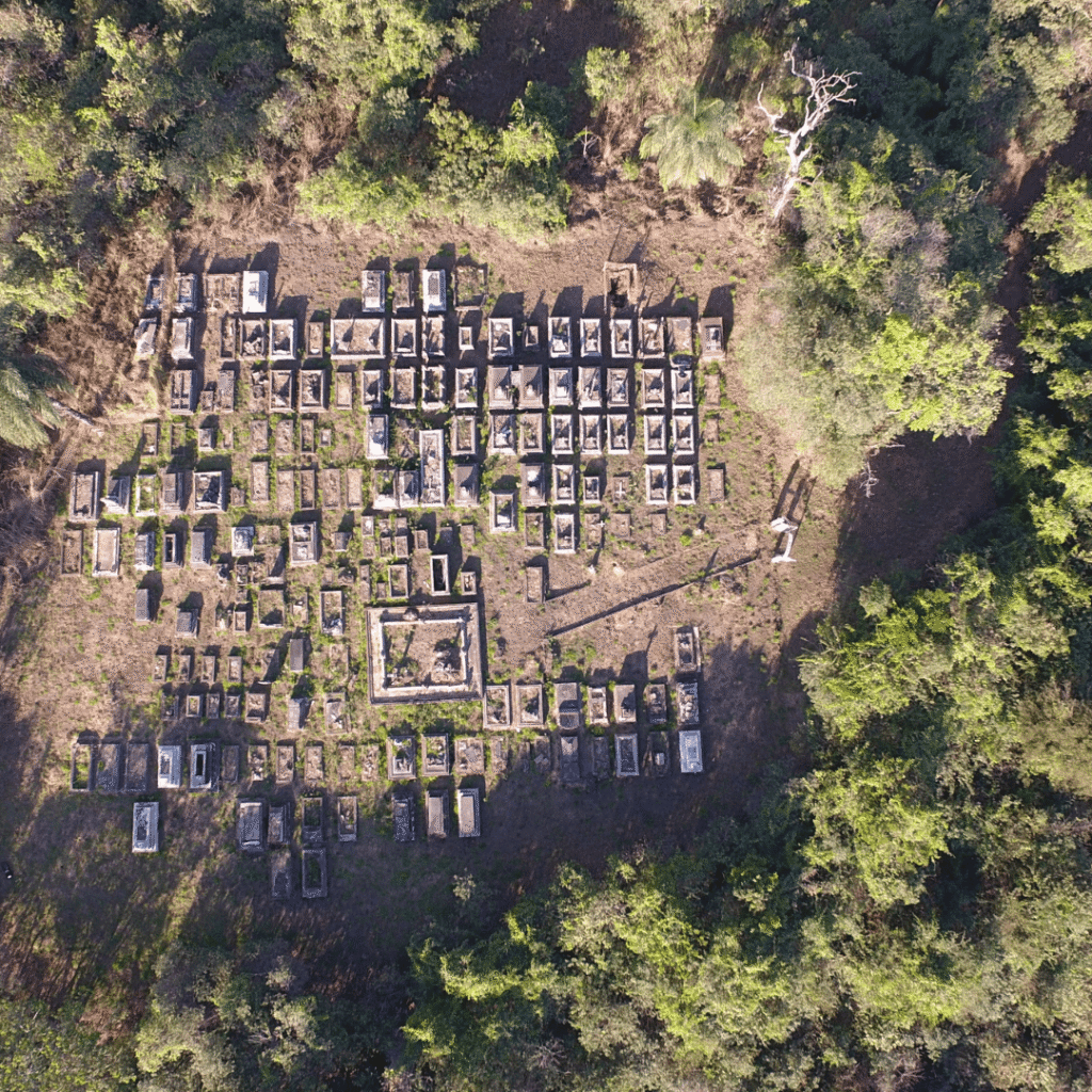 Design sem nome (5) (1)