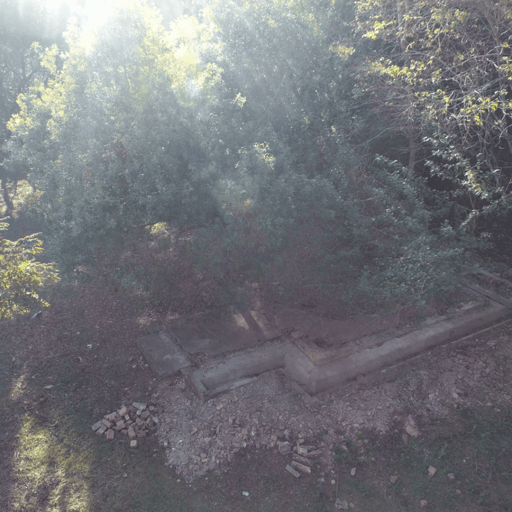 Design sem nome (9) (1)