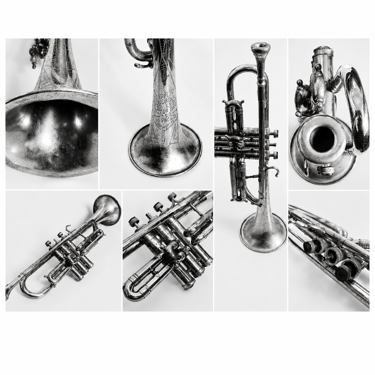 O Trompete do Musicista Euclides Barbosa de Honório Bicalho